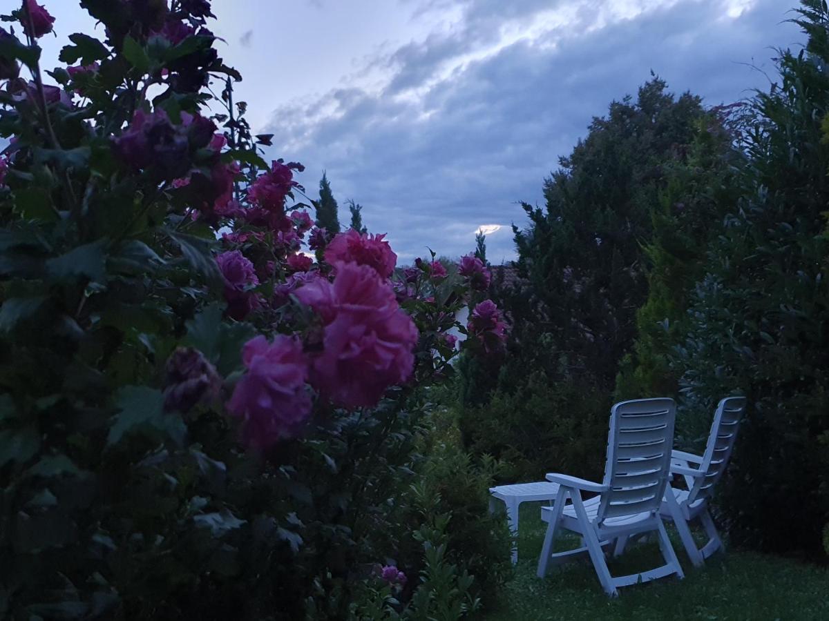 Villa Maja Маркдорф Экстерьер фото